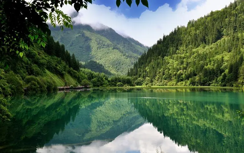 先进全自动创新